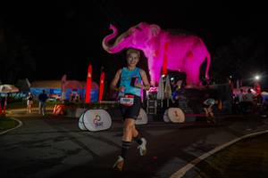 BIB: 
                            <button type="button" onclick="openModal(26552039)" class="btn btn-primary btn-sm float-right btn-popup" data-toggle="modal" data-target=".modal-high-quality">
                        <i class="fas fa-shopping-cart"></i> Add to Cart
                    </button>
                                            <button type="button" onclick="isThisMe(26552039, true)" class="btn btn-success btn-sm float-right btn-popup btn-isme hidden" data-toggle="tooltip" data-placement="bottom" title="นี่คือรูปของคุณใช่ไหม คลิกที่นี่เพื่อเอาเข้าอัลบั้ม">
                        <i class="fas fa-plus"></i> Add to album
                    </button>
                    <button type="button" onclick="isThisMe(26552039, false)" class="btn btn-warning btn-sm float-right btn-popup btn-isnotme hidden">
                        <i class="fas fa-ban"></i> Remove from album
                    </button>